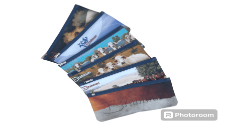 Pencil Bags